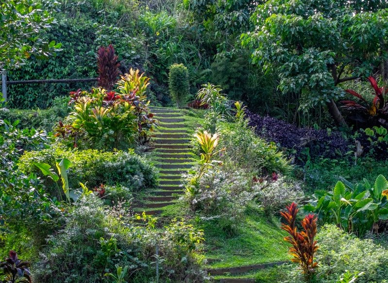 Princeville Botanical Gardens, United States